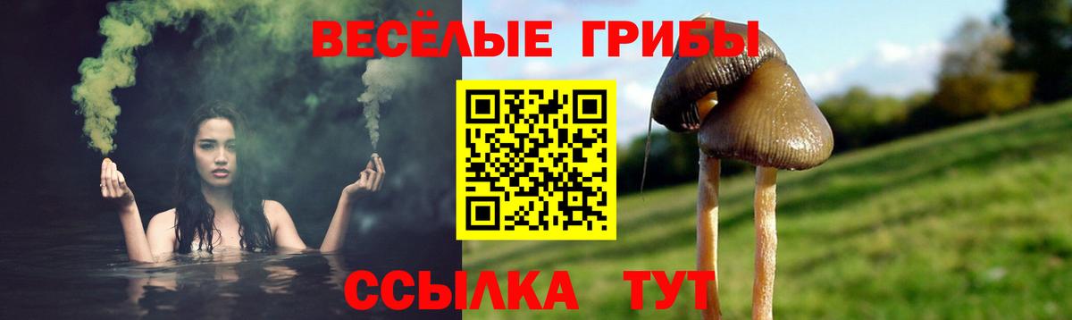 Псилоцибиновые грибы Cubensis Азов